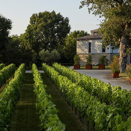 Вилла Borgo San Gregorio Sorbo Serpico Экстерьер фото
