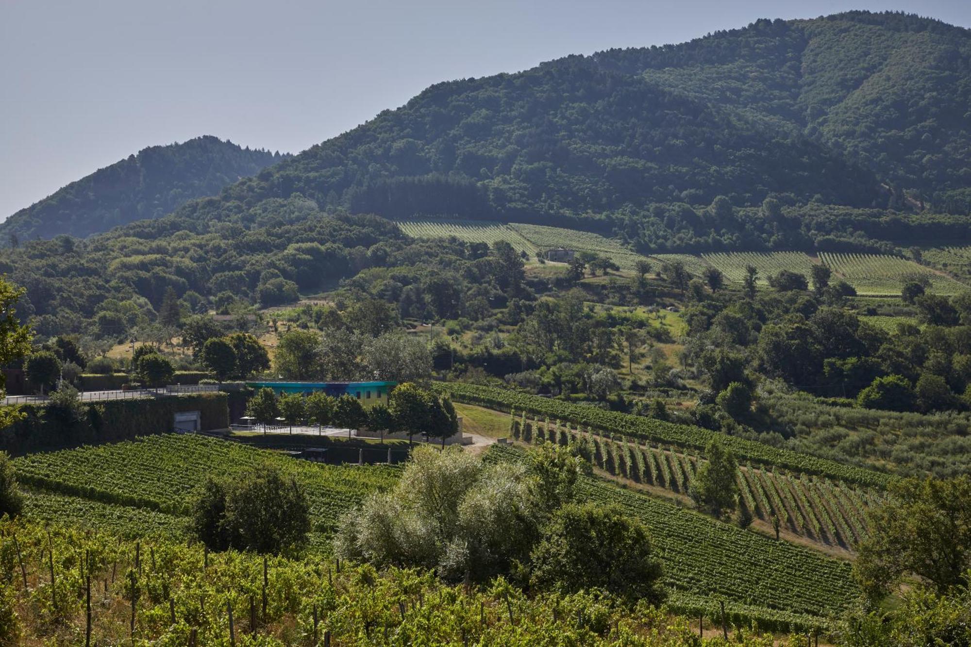 Вилла Borgo San Gregorio Sorbo Serpico Экстерьер фото